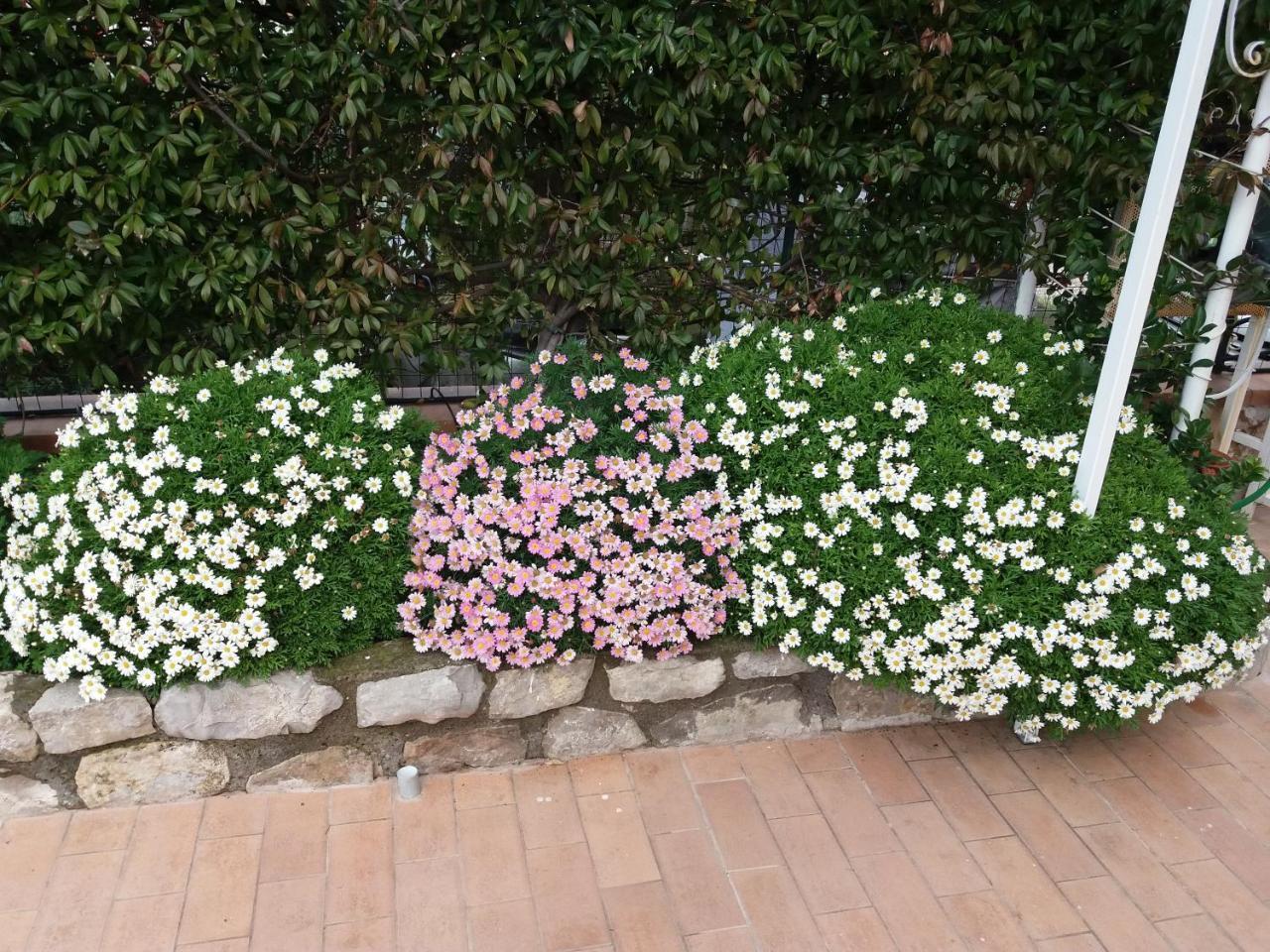 Garden On The Sea Bed & Breakfast Vico Equense Eksteriør bilde